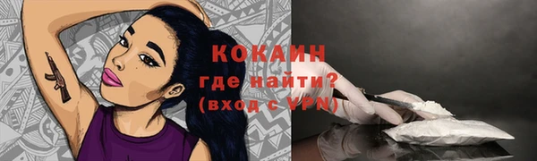 молекула духа Волоколамск
