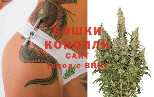мдпв Верхний Тагил