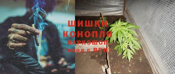 мдпв Верхний Тагил