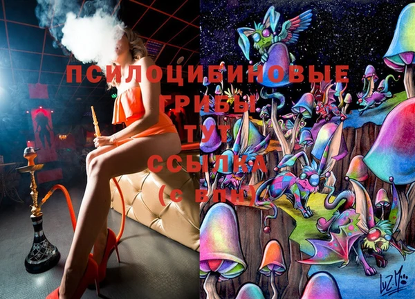 стафф Ступино